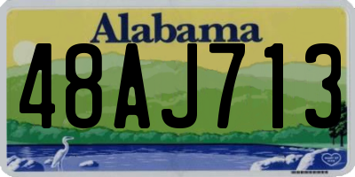 AL license plate 48AJ713