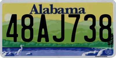 AL license plate 48AJ738