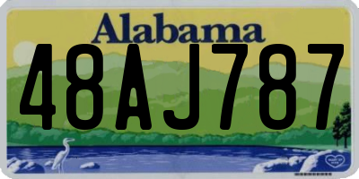 AL license plate 48AJ787