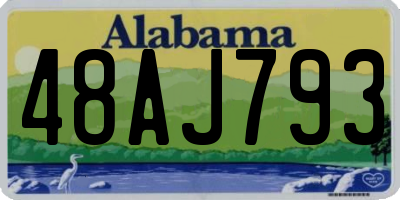 AL license plate 48AJ793