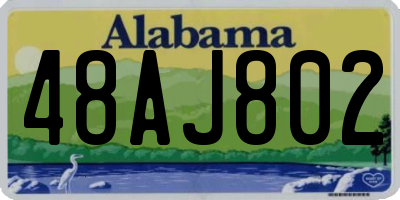 AL license plate 48AJ802