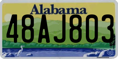 AL license plate 48AJ803