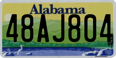 AL license plate 48AJ804