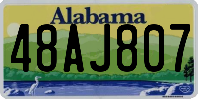 AL license plate 48AJ807
