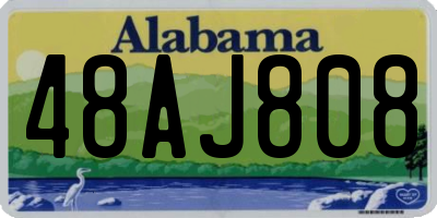 AL license plate 48AJ808