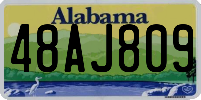 AL license plate 48AJ809