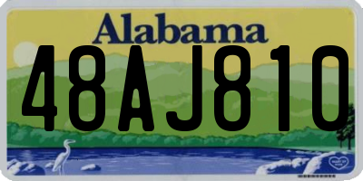 AL license plate 48AJ810