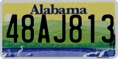 AL license plate 48AJ813