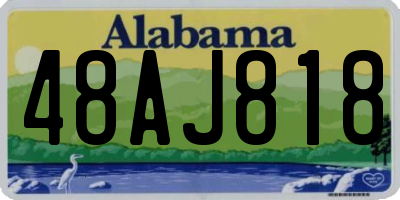 AL license plate 48AJ818