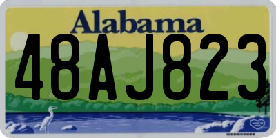 AL license plate 48AJ823