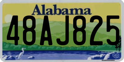 AL license plate 48AJ825