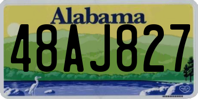 AL license plate 48AJ827