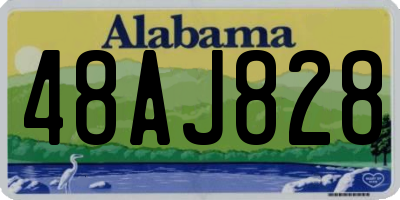 AL license plate 48AJ828