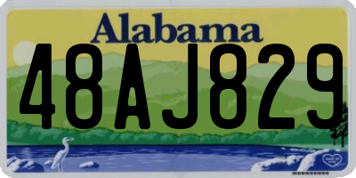 AL license plate 48AJ829