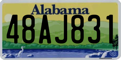 AL license plate 48AJ831