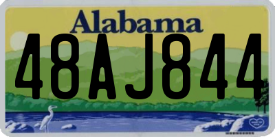 AL license plate 48AJ844