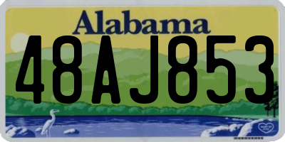 AL license plate 48AJ853