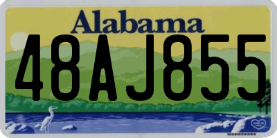AL license plate 48AJ855