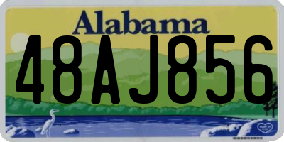 AL license plate 48AJ856
