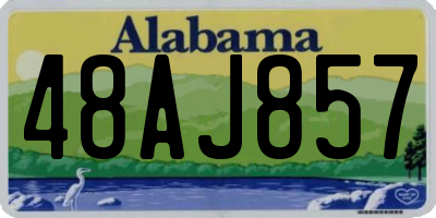 AL license plate 48AJ857
