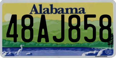 AL license plate 48AJ858