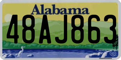 AL license plate 48AJ863