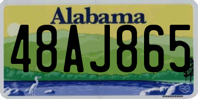 AL license plate 48AJ865