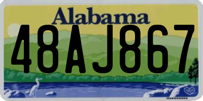 AL license plate 48AJ867