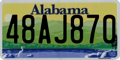 AL license plate 48AJ870