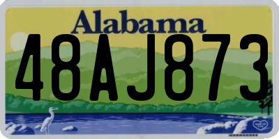AL license plate 48AJ873