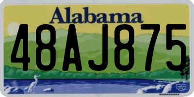 AL license plate 48AJ875