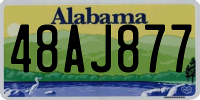 AL license plate 48AJ877