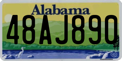AL license plate 48AJ890