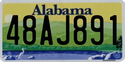 AL license plate 48AJ891