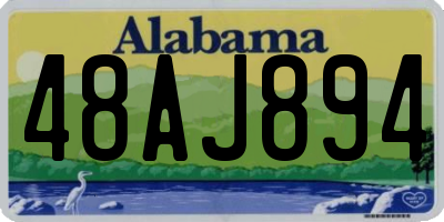 AL license plate 48AJ894