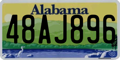 AL license plate 48AJ896