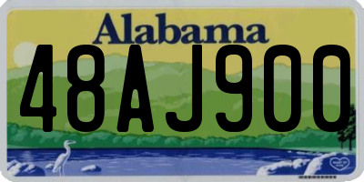AL license plate 48AJ900