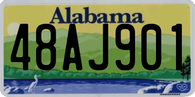 AL license plate 48AJ901