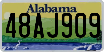 AL license plate 48AJ909