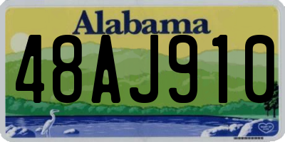 AL license plate 48AJ910