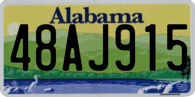 AL license plate 48AJ915