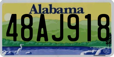 AL license plate 48AJ918
