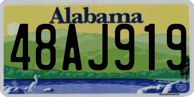 AL license plate 48AJ919