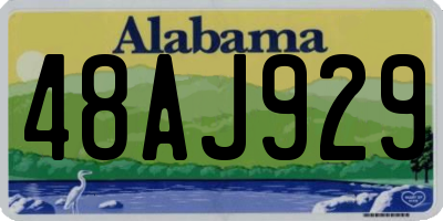 AL license plate 48AJ929