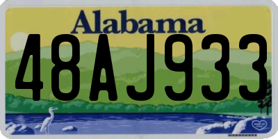 AL license plate 48AJ933