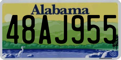 AL license plate 48AJ955