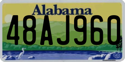 AL license plate 48AJ960