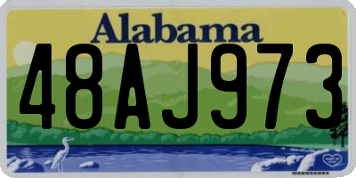 AL license plate 48AJ973