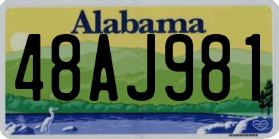 AL license plate 48AJ981