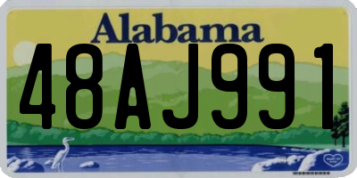 AL license plate 48AJ991